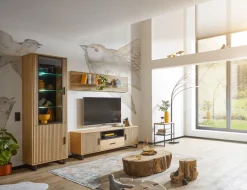 Discount TV-Lowboard Paula Kommoden|Wohnwände & Tv-Lowboards