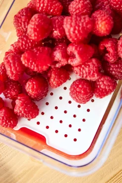 Vorratsdose Cauma 1200 ml Vorratsdosen