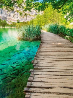 EUROART Bilder Nach Themen|Wandbild 60 x 80 cm Beautiful path II