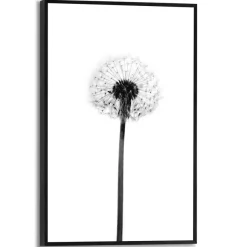 Reinders Bilder Mit Rahmen|Wandbild 20 x 30 cm Dandelion