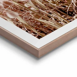 Wandbild 50 x 50 cm Dune Beach Bilder Mit Rahmen