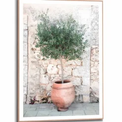 Online Wandbild 50 x 70 cm Olive Tree Bilder Mit Rahmen