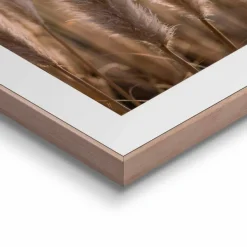 Reinders Bilder Mit Rahmen|Bilder Nach Themen|Wandbild 40 x 50 cm Pampas