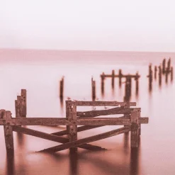 Bilder Mit Rahmen|Wandbild 50 x 70 cm Stehlen im Wasser