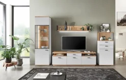 Clearance Wandboard Basset Regale