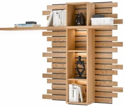 Wandpaneel Jackson Regale