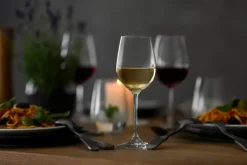 SCHOTT ZWIESEL Wasserglas Classico 545 ml