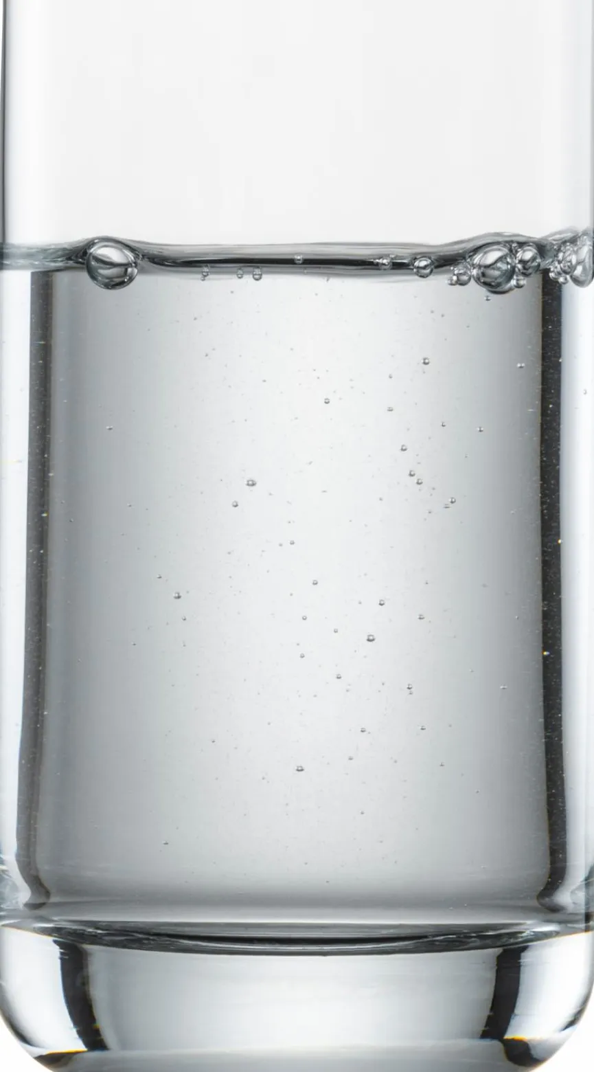 SCHOTT ZWIESEL Wasserglas Simple 255 ml