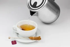 Wasserkocher WK2100 Compact