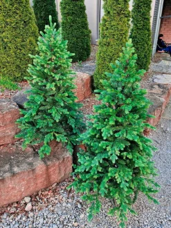 Weihnachtsbaum 210 cm