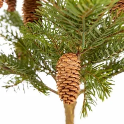 Weihnachtsbaum Nordmanntanne 92 cm