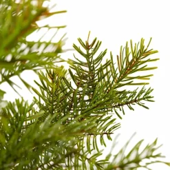 Weihnachtsbaum Nordmanntanne 92 cm