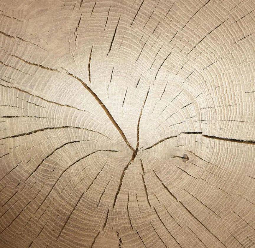 Hartmann Wohnwand Caya